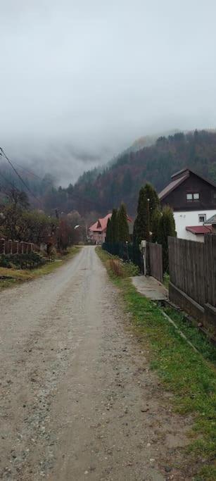 Cottage In Traditional Village Bradulet, Arges County Dış mekan fotoğraf