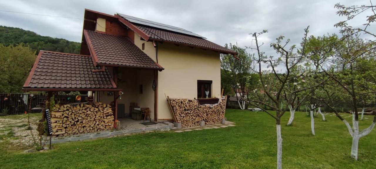 Cottage In Traditional Village Bradulet, Arges County Dış mekan fotoğraf