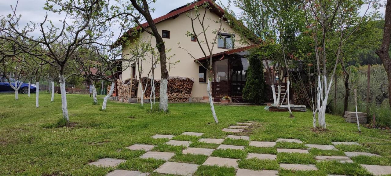 Cottage In Traditional Village Bradulet, Arges County Dış mekan fotoğraf