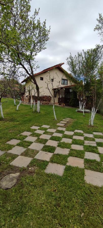 Cottage In Traditional Village Bradulet, Arges County Dış mekan fotoğraf