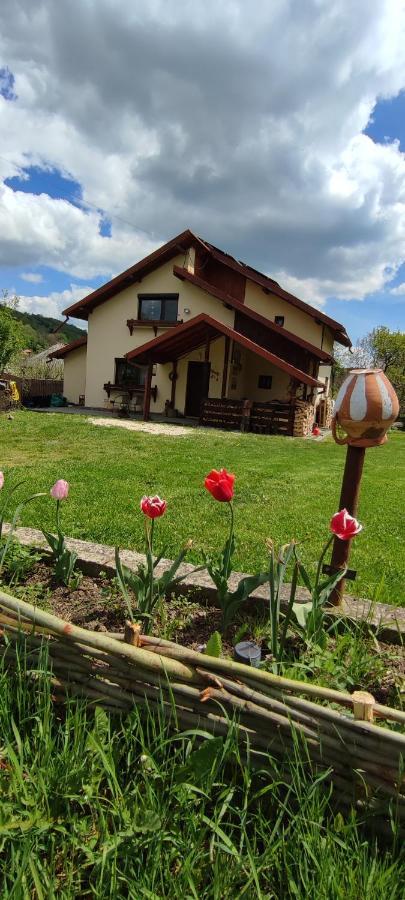 Cottage In Traditional Village Bradulet, Arges County Dış mekan fotoğraf