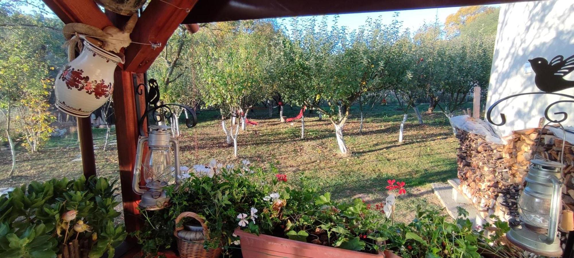 Cottage In Traditional Village Bradulet, Arges County Dış mekan fotoğraf